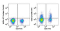 Lymphocyte-gated PBMCs stained with CD25 (7G7B6) APC along with CD4 FITC (Right panel); Lymphocyte-gated PBMC stained with mouse IgG2a APC isotype control along with CD4 FITC (Left Panel).