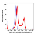 Lymphocytes gated PBMCs stained with mouse anti-human TRBC1 (JOVI.1) APC (RED); Lymphocytes gated PBMCs are used as FMO control (BLUE).