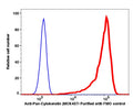 Fixed and perm MCF7 gated cells stained with purified mouse anti-human Pan-Cytokeratin (clone MCK457) followed by donkey anti-mouse IgGiFluor 488 (red histogram). Fixed and perm MCF7 gated cells are used as FMO control (Blue histogram).
