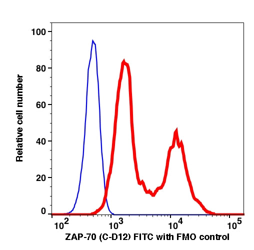 Lymphocytes gated PMA stimulated fixed and permeabilized PBMCs intracellularly stained with ZAP70 (C-D12) FITC (RED); Lymphocytes gated PMA stimulated fixed and permeabilized PBMCs are used as FMO control (BLUE).