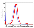 Lymphocytes-gated PBMCs stained with TCR gamma delta (11F2) PerCP-Cyanine5.5 (RED); Lymphocytes gated PBMCs are used as FMO control (BLUE).