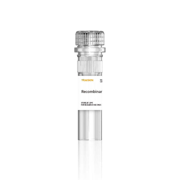 T4 UvsX Recombinase (2 μg/μL)