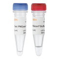 Fast PNGase F