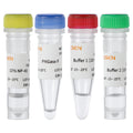 PNGase F (750 U/μL)
