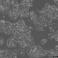 2V6.11 cell