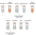 Hieff NGS™ UCF.ME DNA Selection Beads (Low DNA)