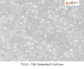 TYK2 Stable Ba/F3 Cell Line | Applied Biological Materials (abm)