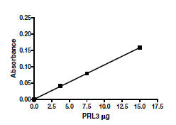 PRL3 (2-173), His-tag Recombinant – Figure 1 of 2