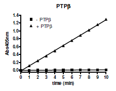 PTPβ, GST-tag Recombinant – Figure 1 of 2