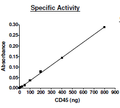 CD45(PTPRC), His-tag Recombinant – Figure 1 of 2