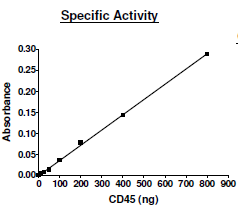 CD45(PTPRC), His-tag Recombinant – Figure 1 of 2
