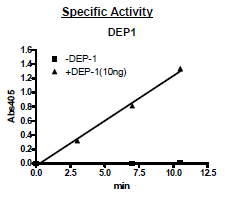 DEP1(PTPRJ), GST-tag Recombinant – Figure 1 of 1
