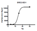 BRD2 (BD1), His-tag Recombinant – Figure 1 of 2