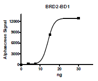 BRD2 (BD1), His-tag Recombinant – Figure 1 of 2
