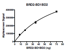 BRD2 (BD1+BD2), GST-tag Recombinant – Figure 1 of 2