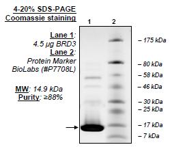 BRD3 (BD1), His-tag Recombinant – Figure 1 of 2