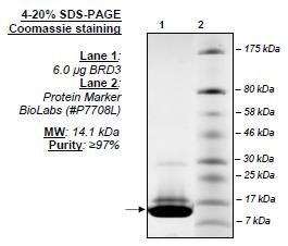 BRD3 (BD2), His-tag Recombinant – Figure 1 of 1