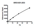 BRD3 (BD1+BD2), His-tag Recombinant – Figure 1 of 2