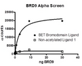 BRD9, GST-tag Recombinant – Figure 1 of 2