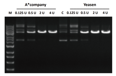 Figure 1. Comparison of Digestion Efficiency at Different Enzyme Amounts (0.125–4 U): 2 U Delivers Optimal Performance