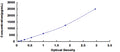 Rat Interleukin 4 (IL4) ELISA Kit — standard curve, 39–2500 pg/mL