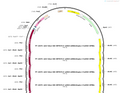 AAV-hSyn-DIO-iRFP670-5' miR30-shRNA(BbsI empty)-3'miR30-WPR