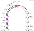 AAV-EF1a-FDIO-EGFP-P2A-Synaptophysin-mRuby-WPRE-hGH polyA