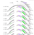 AAV-hSyn-DIO-(SV40 NLS-dCasMINI-V4-2XSV40 NLS-NFZ-2A-EGFP)-W