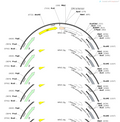 AAV-CMV-ACh3.0-WPRE-PA
