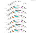 AAV-EF1a-DIO-axon-MaLionG-3XFlag-WPRE-pA