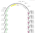 AAV-EF1a-TK-GFP-WPRE-hGH PA