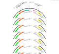 AAV-3×{U6-spsgRNA(scramble)}-bGH polyA-EF1a-EGFP-WPRE-hGH p