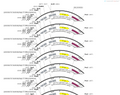 AAV-NRAM-d2TTA::TRE-hM4D(GI)-mCherry- WPREs