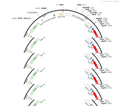 AAV-EF1α-DIO-Jaws-KGC-mCherry- ER2-WPRE-hGH polyA