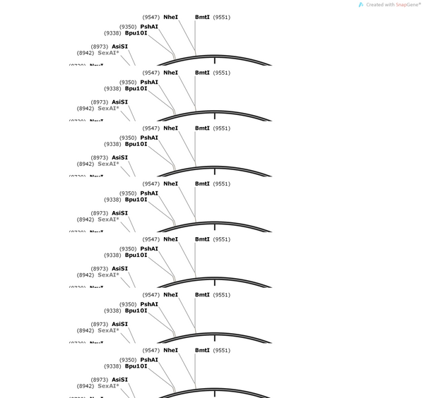 pAAV-pCMV-TM-KA2-CaM-NES-TevN-AsLOV2- TEVseq-Cre