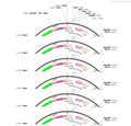 AAV-CD11b-EGFP-WPREs