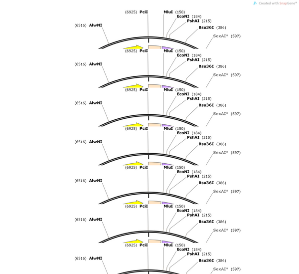 AAV-VGLUT1-axon-GCaMP6S-WPREs