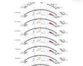 AAV-hSyn-SNCA-P2A-tdTomato-WPREs