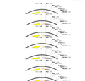 AAV-GfaABC1D-DIO-TeNT(tettoxlc)-P2A-EGFP-WPRE-hGH polyA