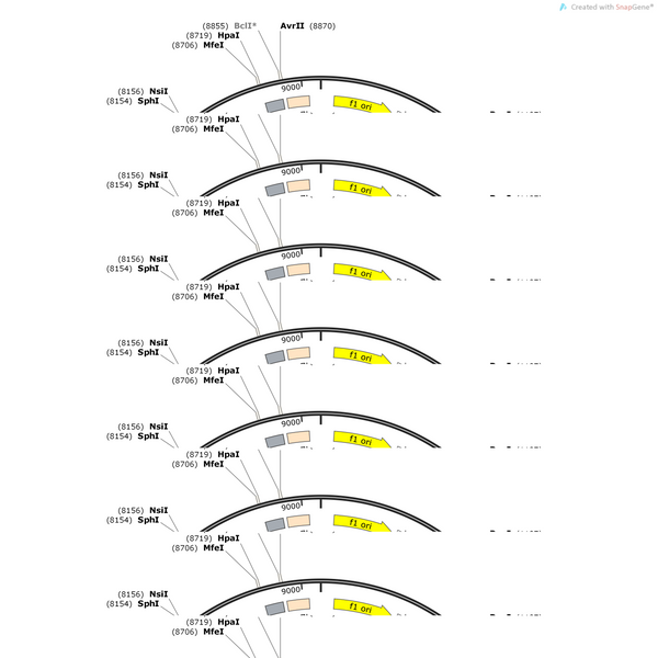 AAV-hSyn-tau(P301L&K385A)-P2A-mCherry-WPRE-PA