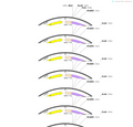 AAV-P2RX3-CRE-WPRES