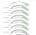 AAV-hSyn-DIO-hM4D(Gi)-P2A-EGFP-WPRE-polyA