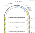 AAV-D2-DIO-jGCaMP8s-WPRE-hGH polyA
