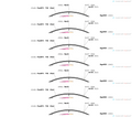 AAV-VGLUT1-roxSTOProx-EGFP-WPRE-hGH pA