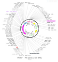 AAV-Vglut3-Cre-WPRES