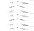 AAV-SFFV-DIO-3Xflag-WPREs
