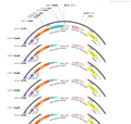 AAV-EF1a-DIO-axon-jGCaMP7b-WPRE-hGH polyA