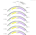 AAV-vglut1-hM4D(Gi)-EGFP-WPREs