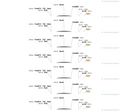 AAV-GAD67(m)-Synaptophysin-mcherry-EGFP-WPREs