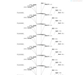 AAV-cfos-CreERT2-2A-rtTA3G-2A-mCherry-NLS-WPREs